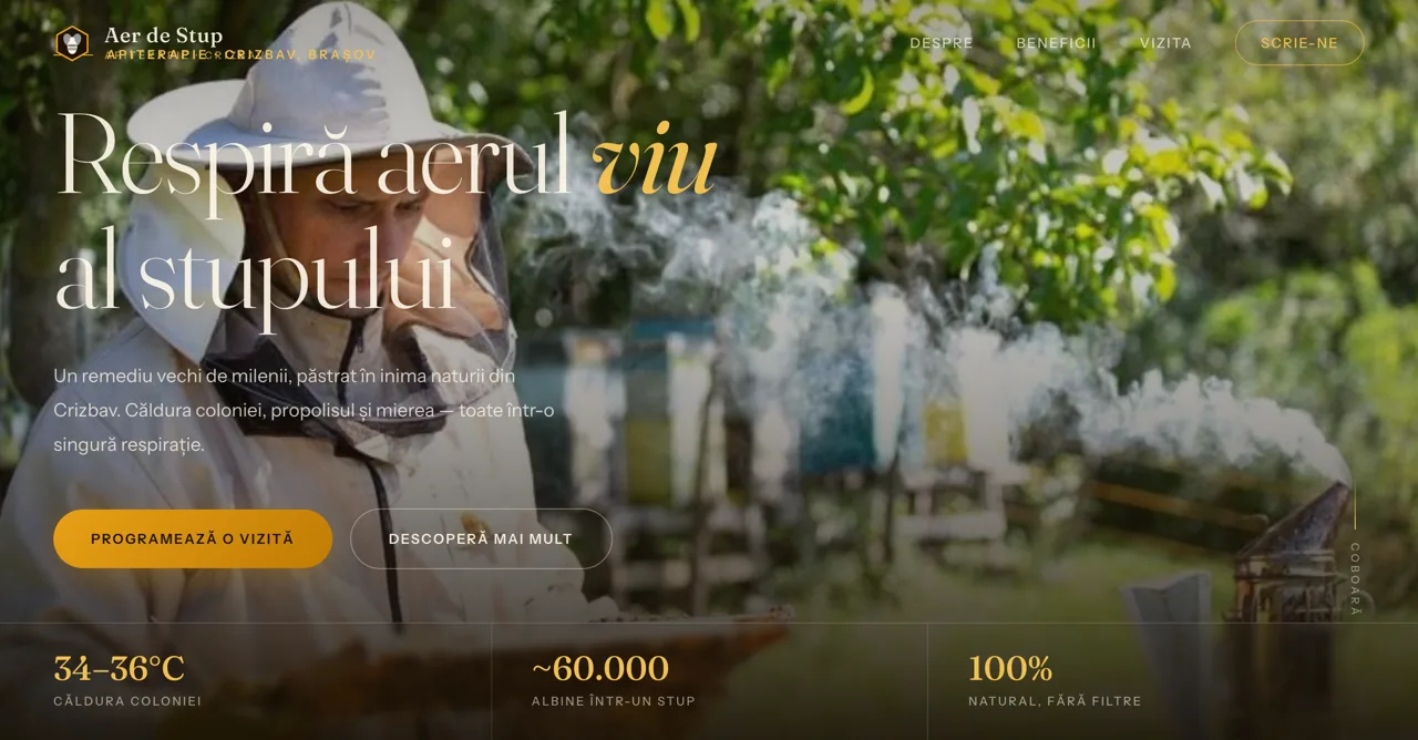 Aer de Stup — homepage